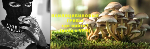ешки Лагань