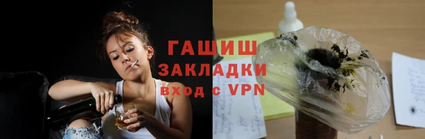 гашик Ладушкин