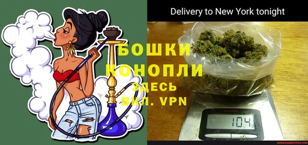 гашик Ладушкин
