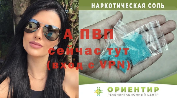 гашик Ладушкин