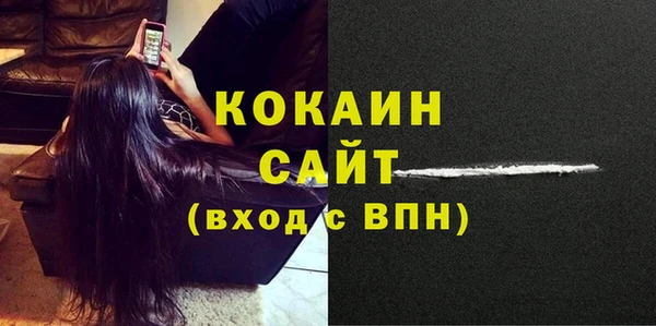 гашик Ладушкин