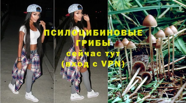 ешки Лагань
