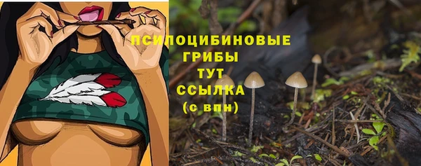 гашик Ладушкин