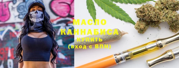 гашик Ладушкин