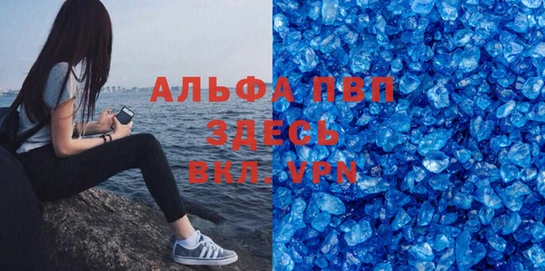 гашик Ладушкин