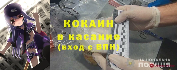 гашик Ладушкин